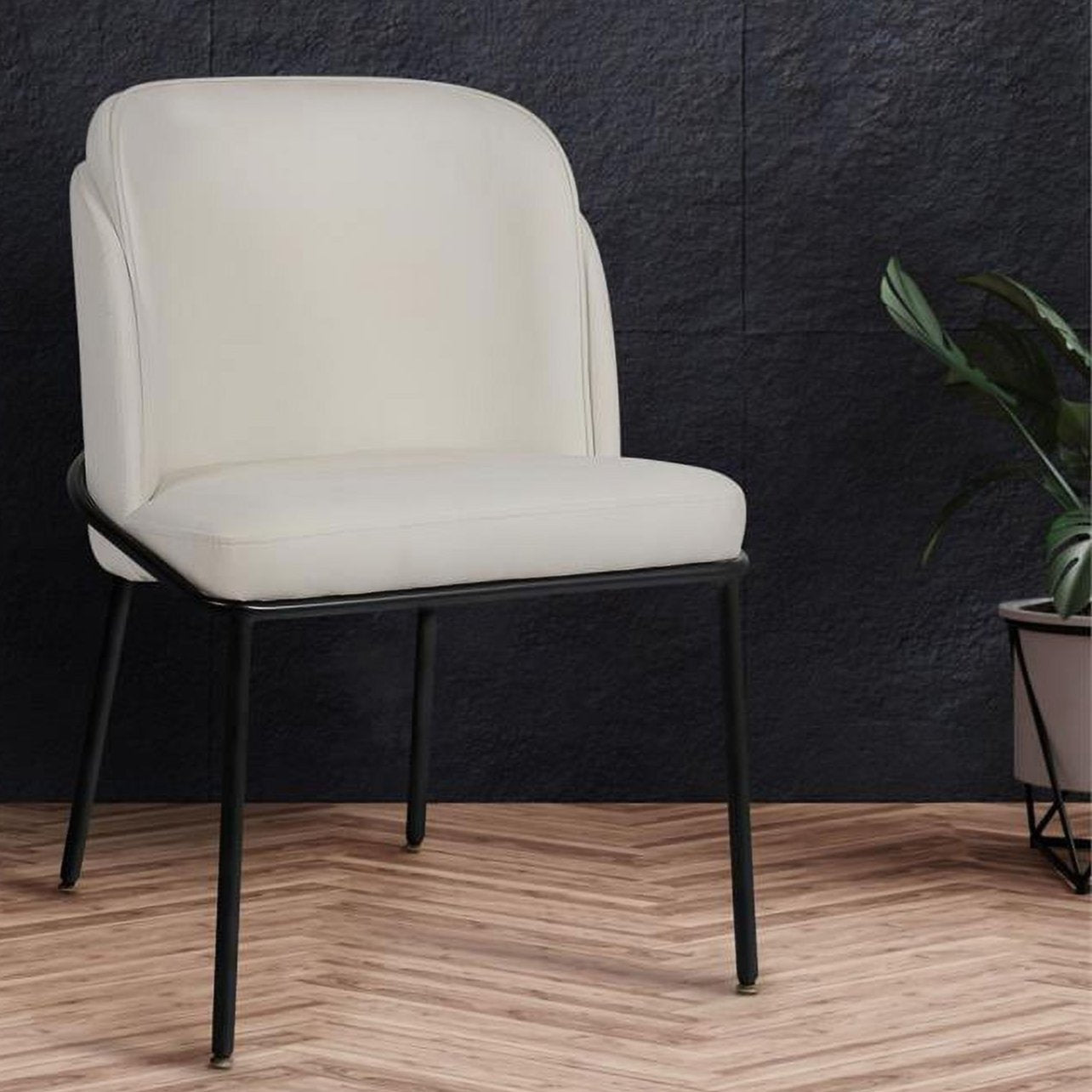 Fortuna Dining Chair