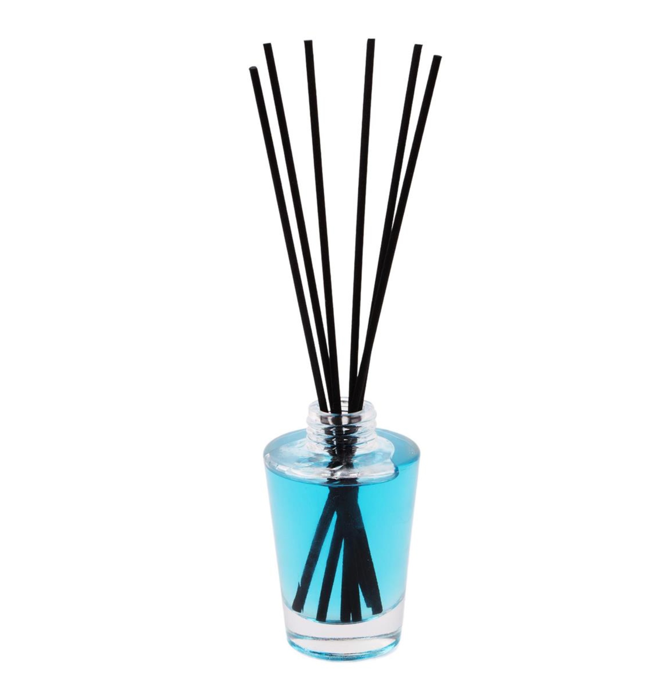 Reed Diffuser 100 ml